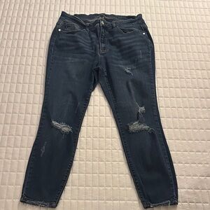 16W Judy Blue Skinny Fit Distressed Jeans